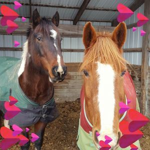 Meet your Posher, Joanna